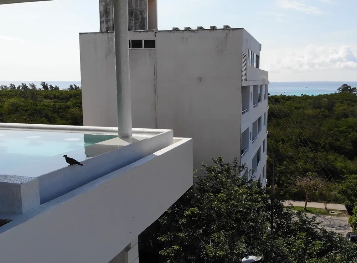 Penthouse view